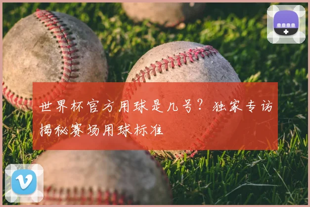 世界杯官方用球是几号?独家专访揭秘赛场用球标准